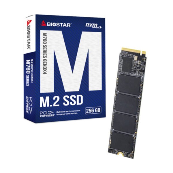 Disco M.2 SSD Biostar 256GB